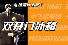 这是什么梗：双开门冰箱