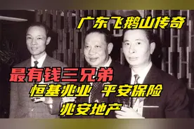 香港最有钱三兄弟，李兆麟、李兆基、李兆楠，家族合来有多少钱？视频封面
