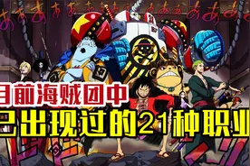 盘点海贼团中出现的21种职业，草帽海贼团大都已经配置齐全视频封面