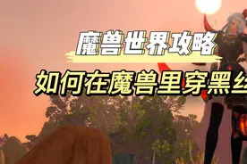 【小软】如何在魔兽世界里穿嗨丝？老实人学起来！视频封面