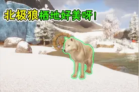 动物园建设56：北极狼来到了我们动物园，它们的栖地可太美了！视频封面