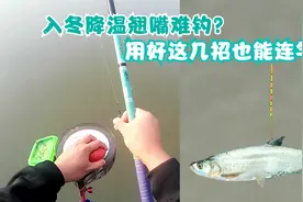 降温后钓翘嘴没口？用这几招应对技巧，冬季钓翘嘴也可以连杆！视频封面