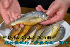 刚捕捞上岸的野生小黄鱼，用砂锅炖小黄鱼很下饭做法简单味道鲜美视频封面