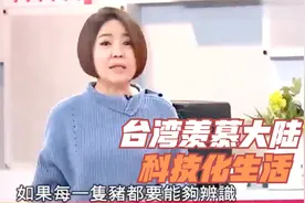 台湾名嘴羡慕大陆科技化生活！一部手机走天下，AI智慧已融入生活视频封面