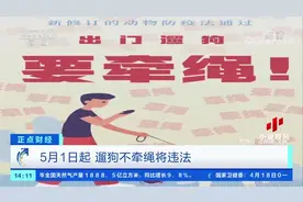 注意！5月1日起 养犬不办证、遛狗不牵绳将违法