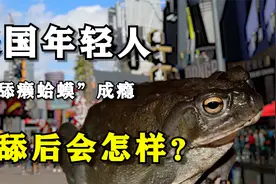 癞蛤蟆成新型廉价毒品，美国年轻人舔上瘾，人吸了后会有什么反应视频封面