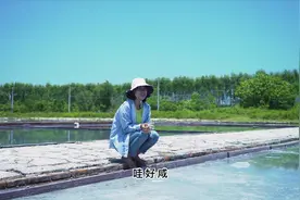 你知道海盐是怎么制作的吗 阿渔妹带大家揭秘700多年的古法晒盐