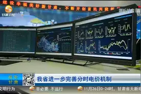 甘肃省进一步完善分时电价机制视频封面