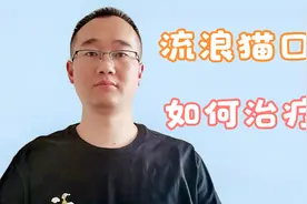 流浪猫口炎，我们抓不住它，真的就不能治疗了吗视频封面