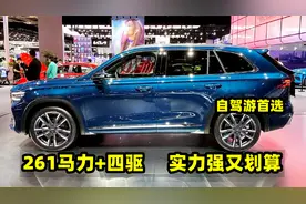 经常自驾游，首选3台实力强的SUV，261马力+四驱，20万落地超划算视频封面
