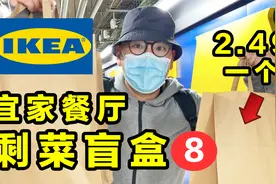 宜家餐厅竟然把剩菜做成了盲盒！2.49抢的盲盒里有什么？视频封面