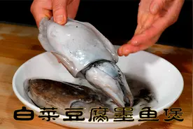 白菜豆腐墨鱼煲热气腾腾海鲜煲做法很简单，适合年夜饭吃的砂锅煲视频封面