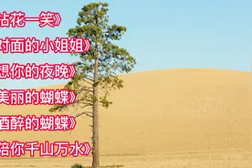 精选6首全网火爆情歌串烧，甜歌好嗓，首首动听，高音质！！