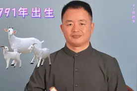 1991年出生的羊人生肖羊属相羊喜羊羊美羊羊开心羊福气羊喜气洋洋视频封面