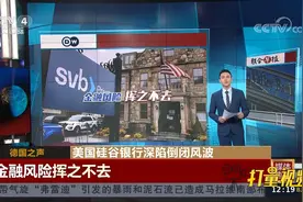 美国设立新机制缓解银行倒闭和储户的冲击，但金融风险仍挥之不去视频封面