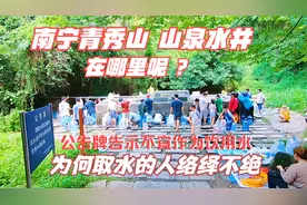 青秀山山泉水能喝吗？为何取水的人络绎不绝锁王带你去现场看一看视频封面