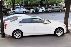 最牛神停车！将车停进两棵树中间，车头车尾几乎没有剩余空间视频封面