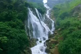 我眼中的贵州丨绿色家园视频封面