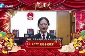 2022我的新年愿望之河南省高级人民法院篇视频封面