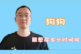 狗狗能憋尿多长时间？别再用这个决定遛狗时间，和衡量它听不听话