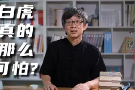 民间为啥把“白虎”说得那么可怕？非得“青龙”相配？和五行相关视频封面