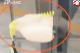 小心！“遛娃神器”成“坑娃凶器”，多地现地铁门夹牵引绳事件视频封面