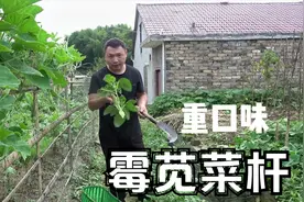 重口味的莓苋菜杆，这样做才好吃