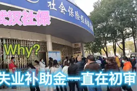 申请的失业补助金，为什么一直在初审，过了月底会不会影响申领？视频封面