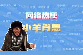 【网梗课代表】小羊肖恩是什么梗？视频封面