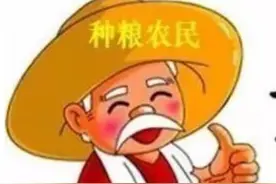 12316专家仇淑琴：吉林省粮食生产者补贴已发放，十一月上旬完毕视频封面