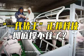 “一代猪王”正邦科技如今濒临破产，经历了什么？视频封面