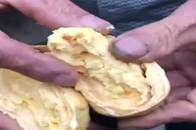 男子宰杀饲养2年老母鸡，腹中发现黄色团块惊呆众人视频封面