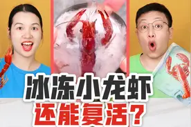 小龙虾冰冻后还能活过来？挑战放冰箱24小时，为啥会消失不见了