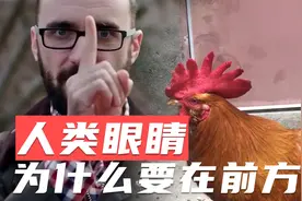 为什么人类的眼睛要长在前方？而鸡兔等动物的眼睛却在两边？