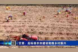甘肃：高标准农田建设助推乡村振兴