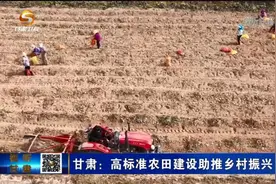 甘肃：高标准农田建设助推乡村振兴