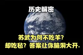 苏武为何不吃羊？却吃毡？答案让你脑洞大开.视频封面