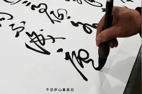 苏轼《题西林壁》不识庐山真面目，只缘身在此山中！视频封面