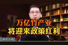 万亿竹产业将迎来政策红利视频封面