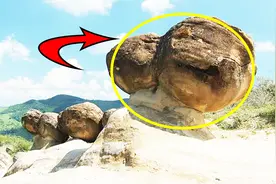 这种石头需要喂养，喝水就长大，网友：建国后不许成精！视频封面