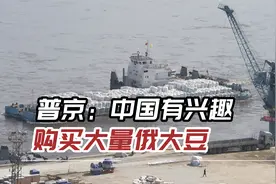 普京：中国有兴趣购买大量俄大豆，俄罗斯有必要发展这领域视频封面