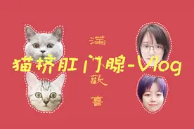 带猫咪去宠物医院挤肛门腺的vlog-一期有味道的视频【三心火乐】