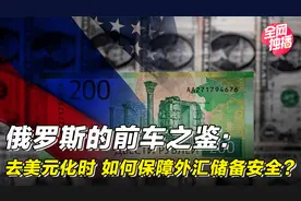 俄罗斯的前车之鉴：去美元化时，该如何保障外汇储备安全？视频封面