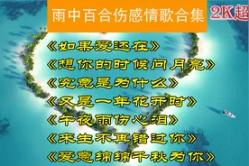 【精选】雨中百合伤感情歌集，歌词伤感动人，声音优美，百听不厌视频封面
