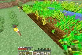 我的世界  给甘蔗地施肥，合成各种矿物