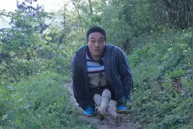 陕西22岁小伙自幼双腿残疾，用双手走路，放羊供妹妹读书视频封面