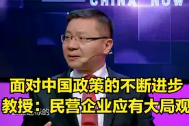 这就是中国：面对中国政策的不断进步，教授：民营企业应有大局观视频封面