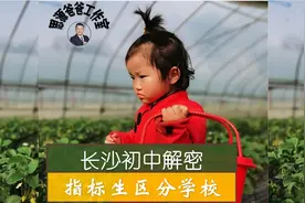 长沙中考分析（2）指标生透露初中学校的秘密，小升初择校必考虑视频封面
