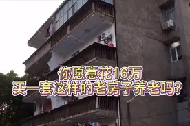80岁老人从食品厂退休，花16万在小县城边上买了套老房子养老视频封面
