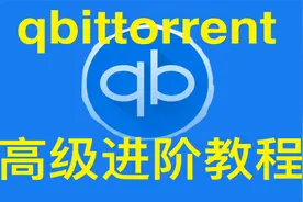 【教程】qbittorrent完全使用指南，最强免费BT下【转载】